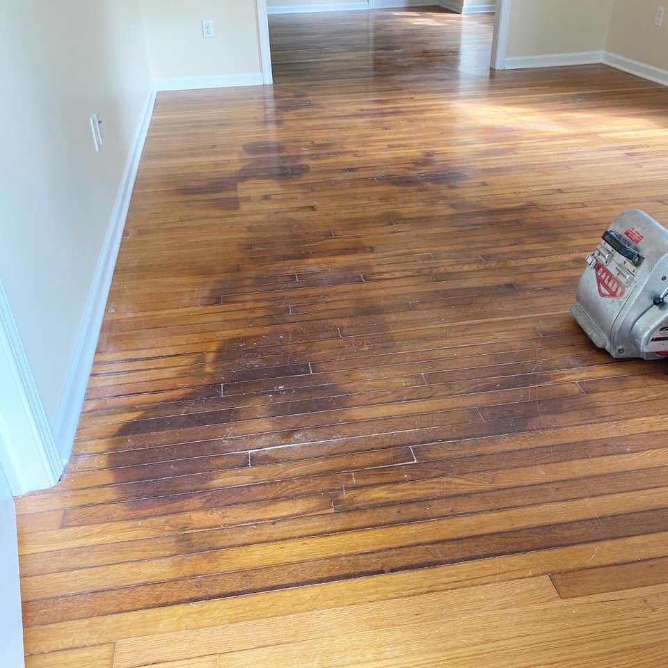 Refinish Hardwood Flooring With Pet Stains Daigle Hardwood Flooring