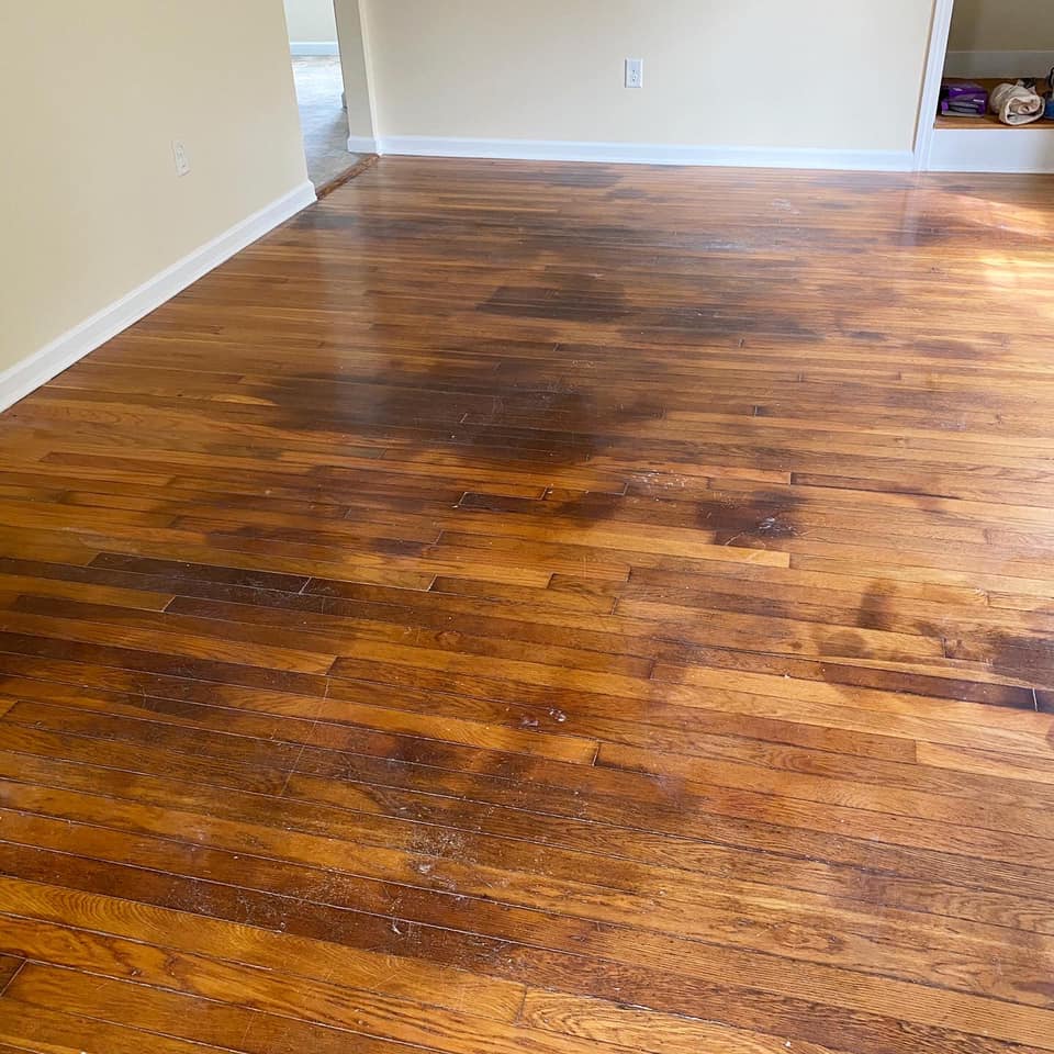 Refinish Hardwood Flooring With Pet, Dark Urine Stains On Hardwood Floor
