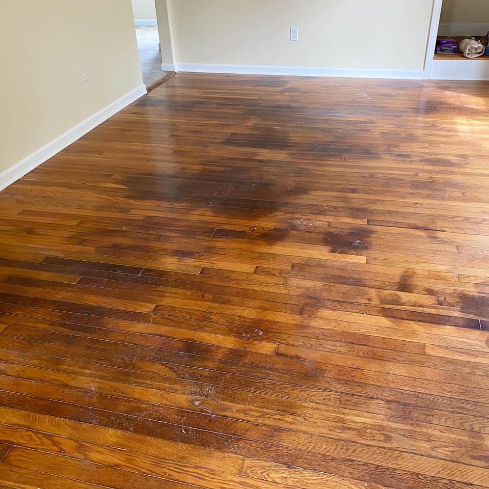 Cat urine hardwood floor best sale black stain